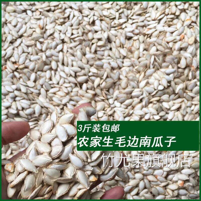 新货老品种毛边生南瓜子农家自种精选颗粒饱满散装安徽精选南瓜籽