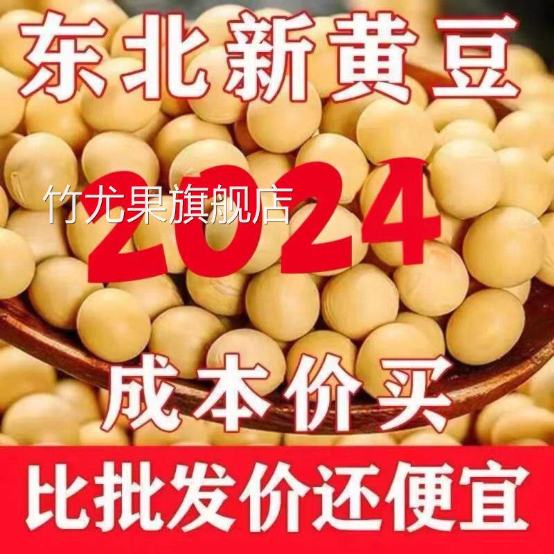 24年新黄豆东北发豆芽的黄豆散装发黄豆芽专用豆黑龙江生豆大黄豆