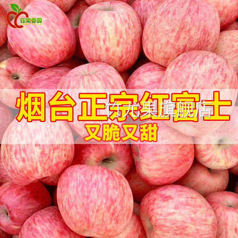 正宗山东栖霞红富士脆甜丑苹 果水果特产烟台富士苹 果5斤整箱包
