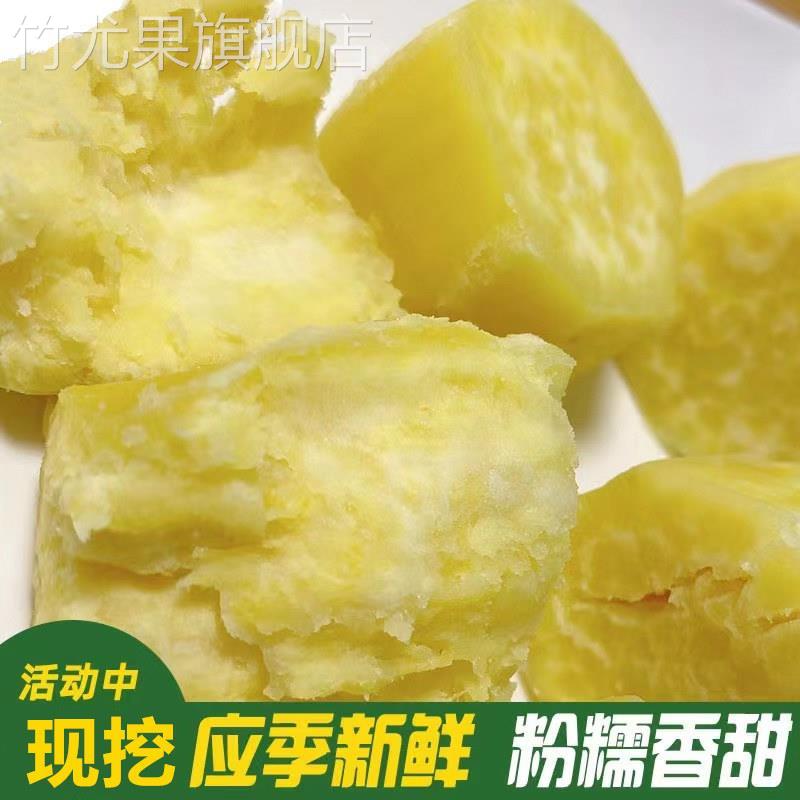 广东正宗潮汕白皮黄心板栗薯香甜粉糯现挖农家鸡蛋黄番薯地瓜包邮