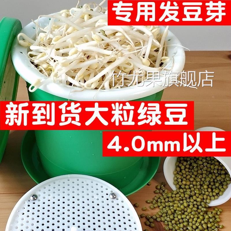 新货发豆芽专用绿豆5东北农家自种中粒2斤大明绿豆芽豆生粗小绿豆