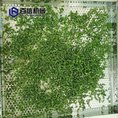 小型热泵青菜烘干机青菜脱水干燥机空气能青菜脱水烘干设备