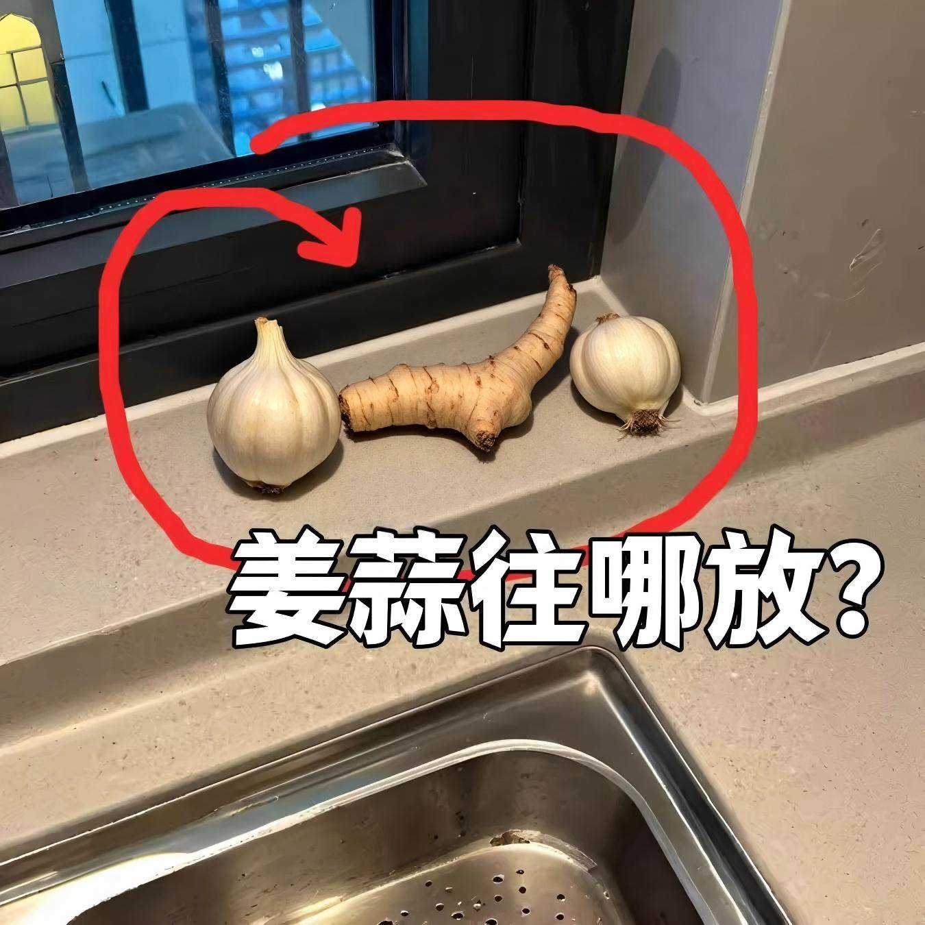 厨房葱姜蒜收纳盒免打孔墙上放蔬菜吸盘收纳筐壁挂姜蒜浴缸置物架,餐饮具,洗菜盆/沥水篮/漏水筛,淘宝优惠券,粉丝福利购,淘宝优惠卷