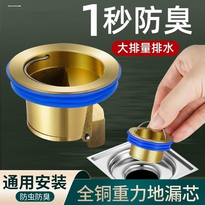 卫生间加长铜防臭地漏芯通用厕所