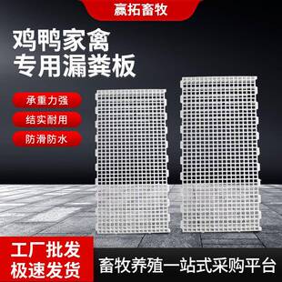 鸡鸭鹅漏粪板加厚塑料网格家禽漏粪板鸡舍接屎板地板养鸭养殖设备