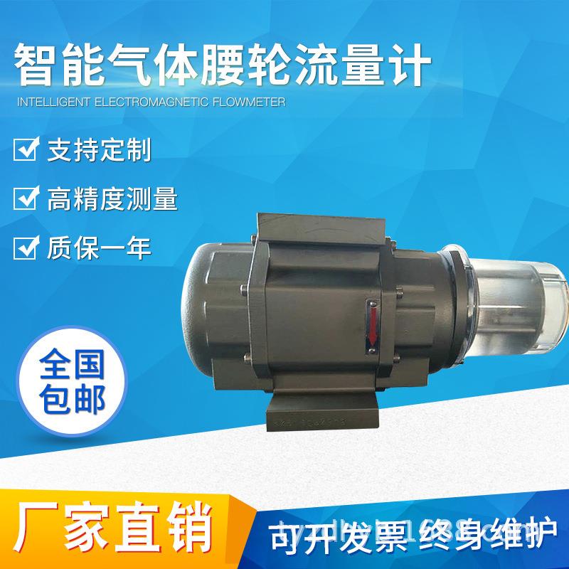 厂家直销气体罗茨流量计气体腰轮流量计天然气煤气沼气空气