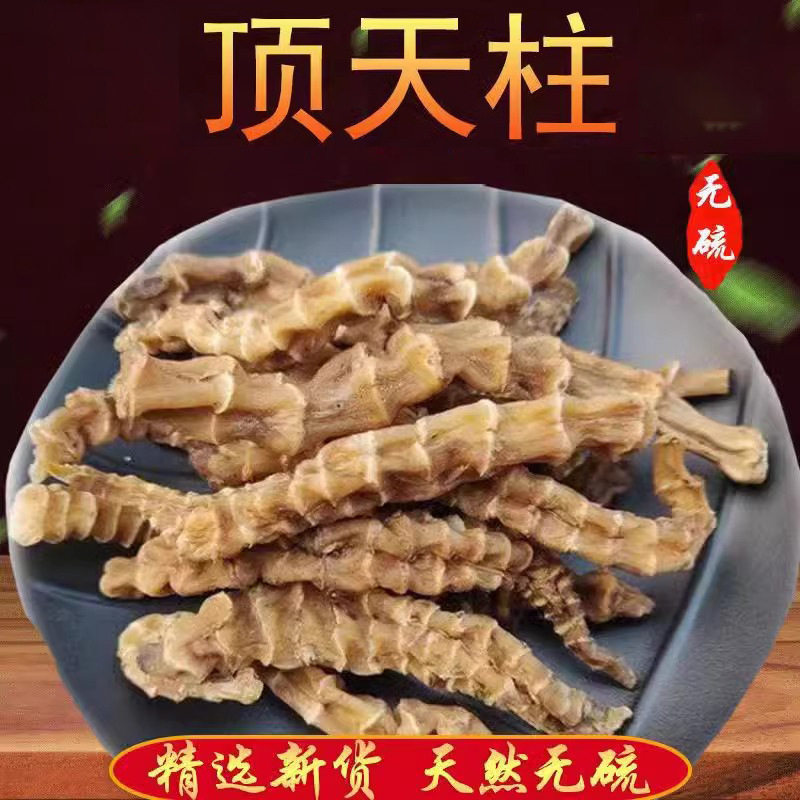 云南顶天柱不老草新货地参虫草参中药材煲汤泡茶泡酒料回春草