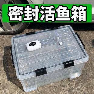 户外车载后备箱活鱼桶加厚大号塑料箱密封运鱼水箱野钓装鱼周转箱