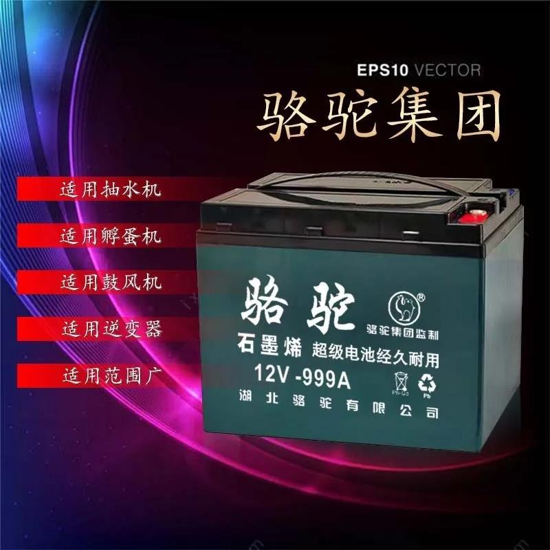 全新12v蓄电池摆摊电瓶20A60A抽水干电池12伏LED灯条主机照明铅酸