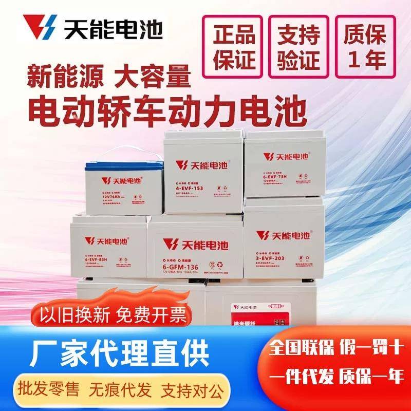 天能新能源电瓶电动汽车洗地机铅酸电池60v100ah6v200ah12v120安