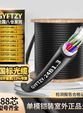 GYFTZY非金属单模阻燃室外国标光缆4/6/8/12芯管道架空工程光缆