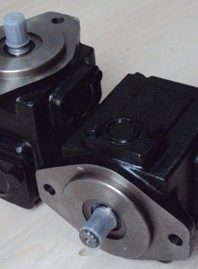 原装 丹尼逊T6ED 052 045 038 2R00 B1 2R01/2R02/2R03 C1叶片泵