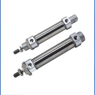 100 不锈钢迷你气缸WGN08