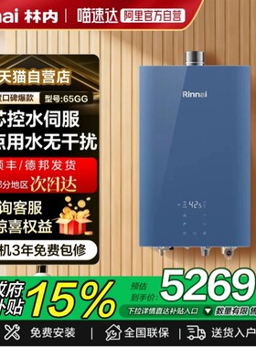林内16E65G/20E65G/24E65G-GL水伺服恒温燃气热水器65GG商场同款