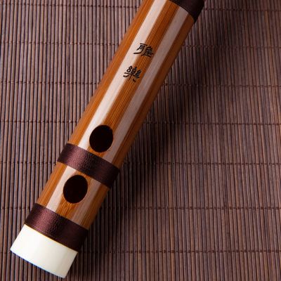 雅乐笛王建宏风雅宫雅乐笛演奏笛高档笛子古风