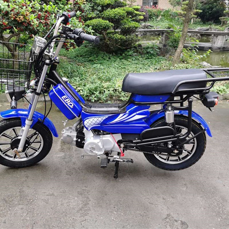 四冲程燃油助力 48 70 0CC摩托外卖车钓鱼车新款迷你建设发动机