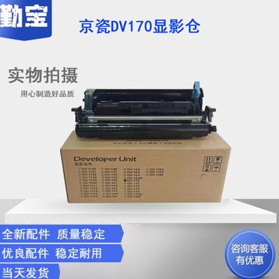 适用京瓷DV-163 DV173显影组件FS-1320D 1370DN P2135DN 1120DN P