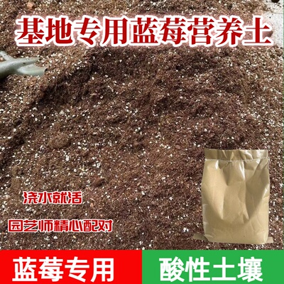 自家基地专用蓝莓营养土有机酸性专用土盆栽基质种植果实值得推荐