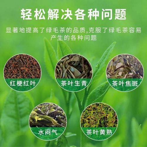 久农王电热锈钢自动温控往复式茶叶理条机制茶机炒干机型号齐全