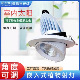 墙造景补光灯全光谱嵌入式天室内生长灯太阳光灯