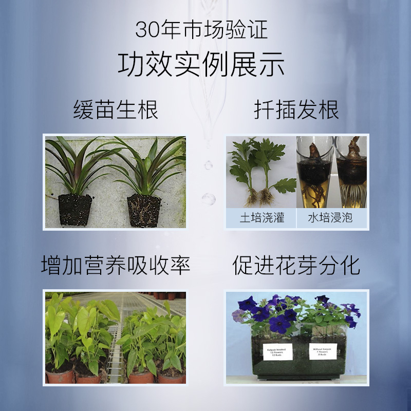 摩登农夫海藻多肽植物复元素营养液 水培植物活力素有机肥通用型