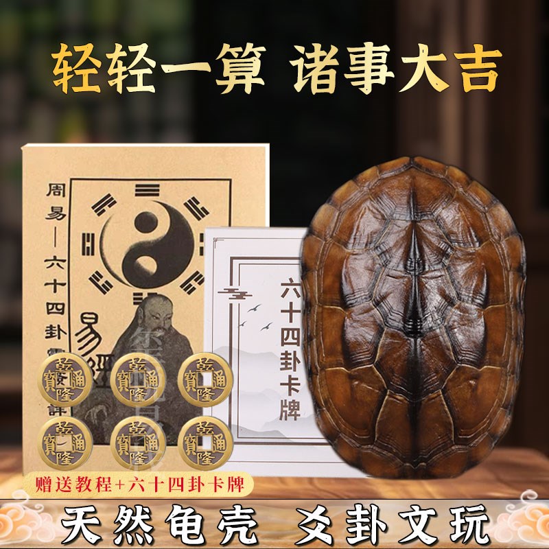 周易卦卜铜钱龟壳爻六铜钱工具真龟甲六爻铜钱摇卦算挂用品64卦牌