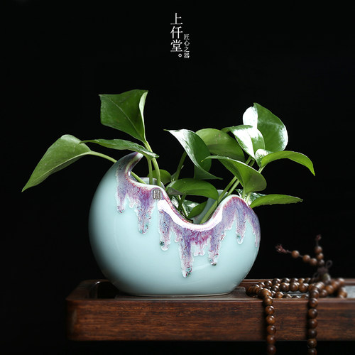 创意瓶龙泉青瓷客厅绿萝水培插器小新