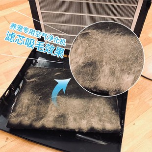 范罗士AeraMax PT65家用宠物空气净化器吸毛除异味除臭毛发