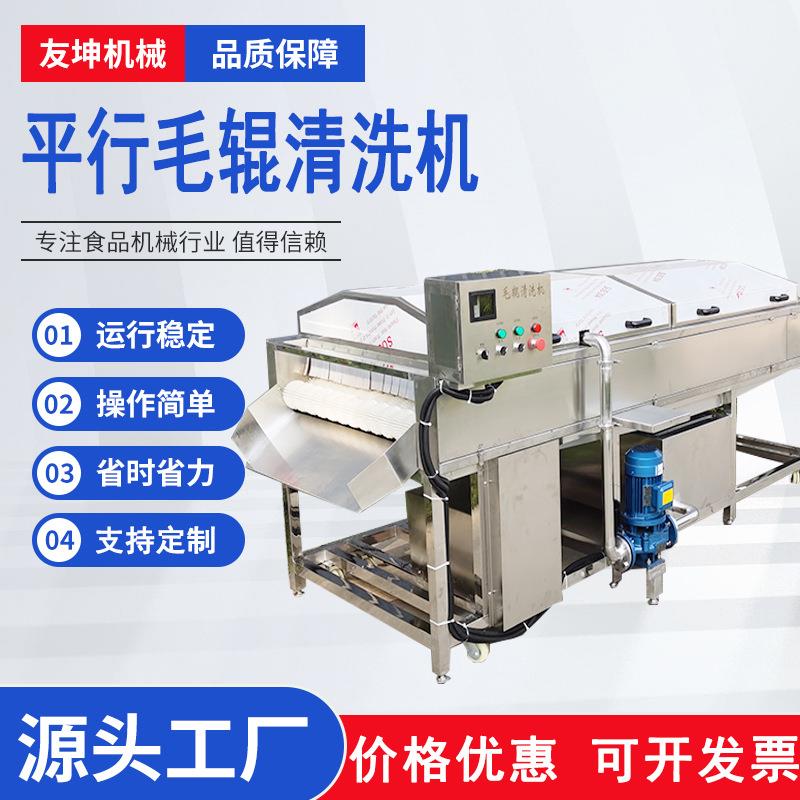 中草药清洗机田七荸荠芋头毛辊清洗设备小鱼毛辊清洗去鱼鳞设备
