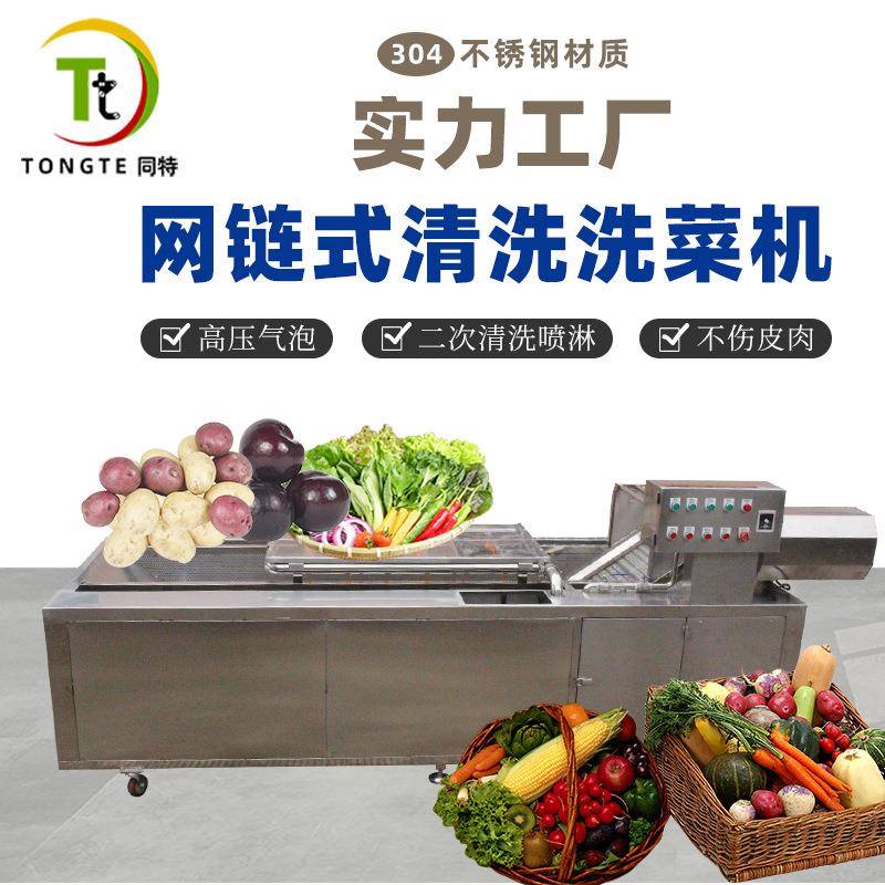 大型高压气泡洗菜机水果蔬菜清洗机净菜加工清洗机自动清洗机