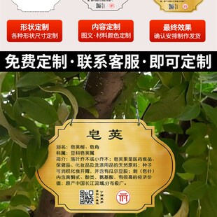 树牌挂牌定制学校公园草牌植树节树木认养介绍标识提示牌设计制作