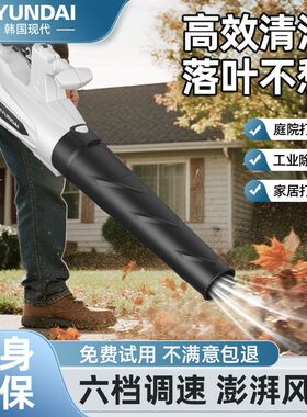 韩国现代插电式吹风机吹树叶吹雪机大功率工业用鼓风机暴风枪除尘