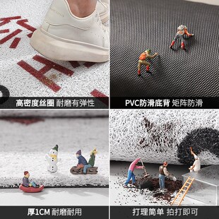 可裁剪玄关丝圈地 地垫入户a门垫耐脏进门大门口脚垫门外2024新款