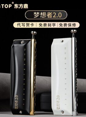鼎梦想者c调ST东方2.0P演奏12孔半音阶口琴A专业TO升级款E初学