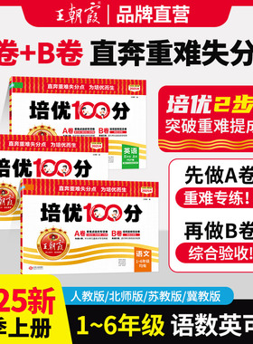 2025上册王朝霞试卷培优100分小学单元AB卷直奔重难失分点一二三四五六年级下册人教版语文北师大苏教冀教数学英语单元期末拔高卷