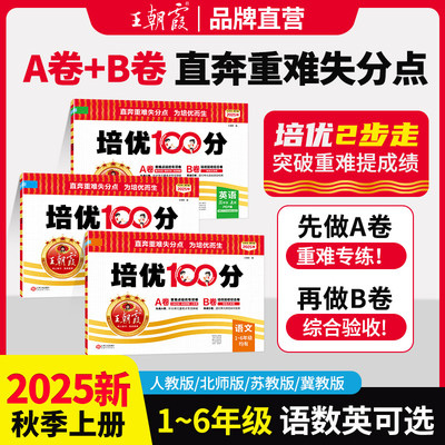王朝霞培优100分小学拔高试卷