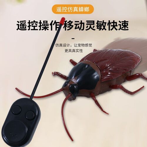 仿真遥控大蟑螂猫玩具电
