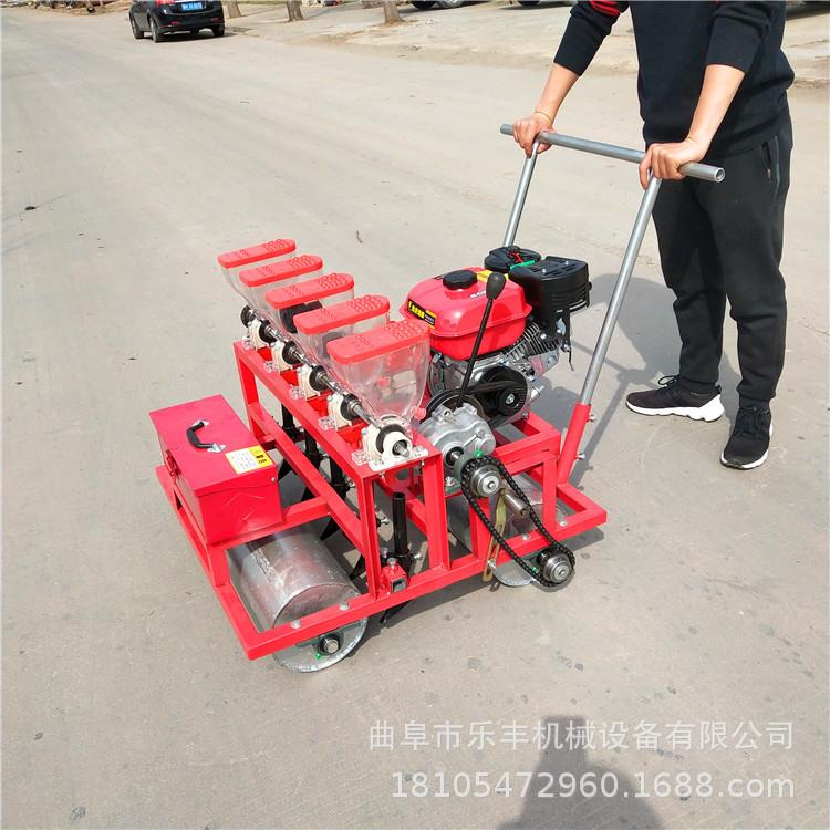 香菜种子播种机价格小型红萝卜播种机手推式四行蔬菜点播机