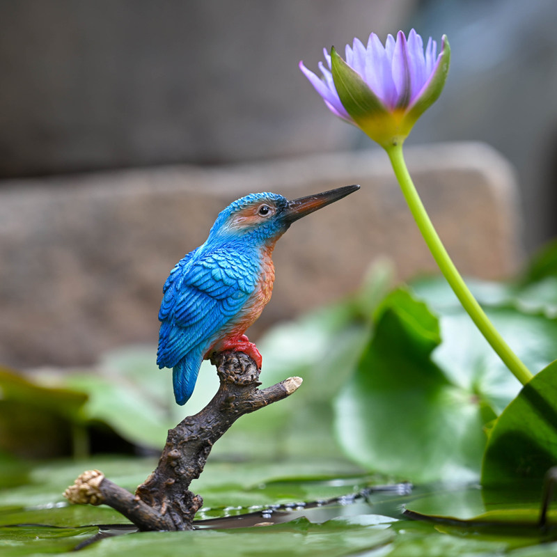 仿真翠鸟叶莺鸟微景观动物小鸟园艺造景DI材料盆景饰品树脂,家居饰品,装饰摆件,淘宝优惠券,粉丝福利购,淘宝优惠卷