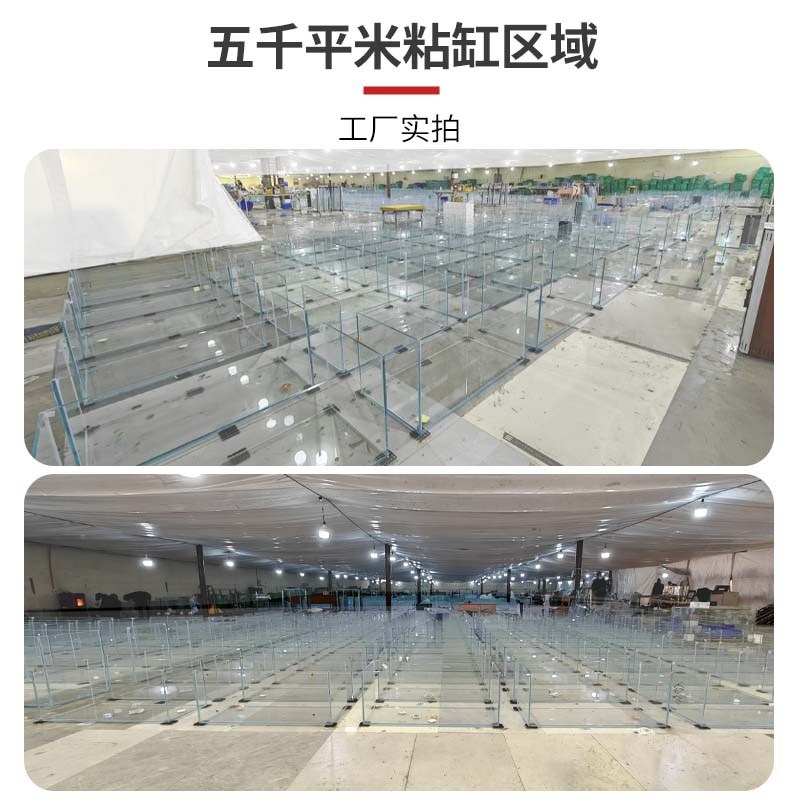 金晶五线超白玻璃鱼缸定制定做生态溪流缸大中小型客厅乌龟缸裸缸