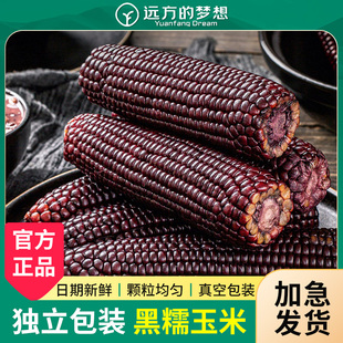 远方的梦想有机黑玉米软糯香甜新鲜八珍良膳早餐粗粮代餐远方好物