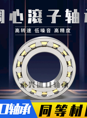 调心滚子轴承2118 20 22 2 2 28 C K /W