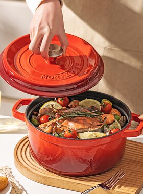 摩登妇NZN珐琅锅铸铁锅陶瓷炖锅砂锅电磁炉汤锅法琅锅
