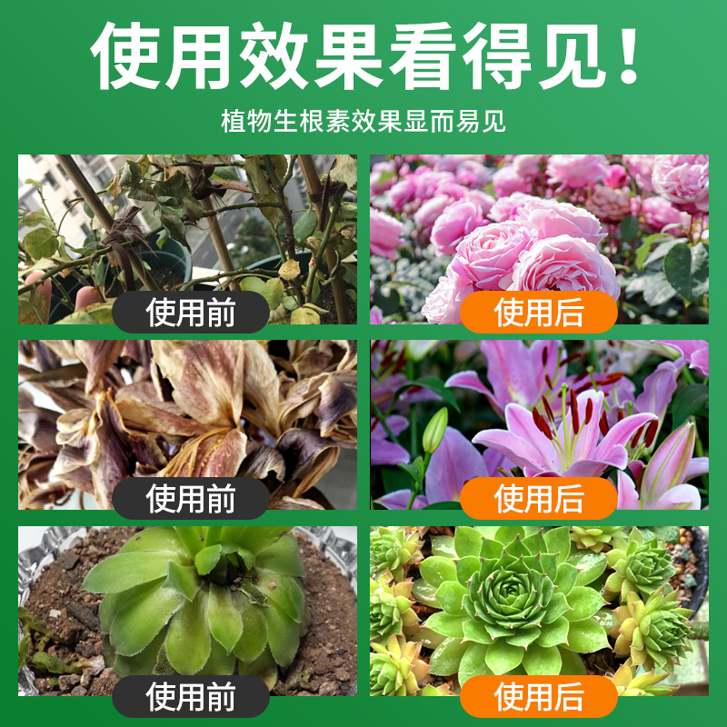 植物生长活力素生根通用型浓缩营养液多肉肥料水促花养花卉用盆栽