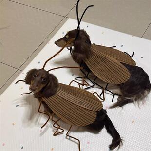 狗狗纯情蟑螂火辣辣衣服不织布扭扭棒diy材料包宠物装扮搞怪服装