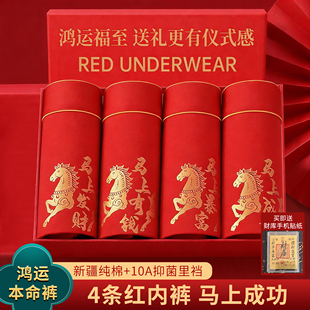 啄木鸟内裤男士生纯棉抗菌色红内裤四角裤短裤头平角裤红色本命年