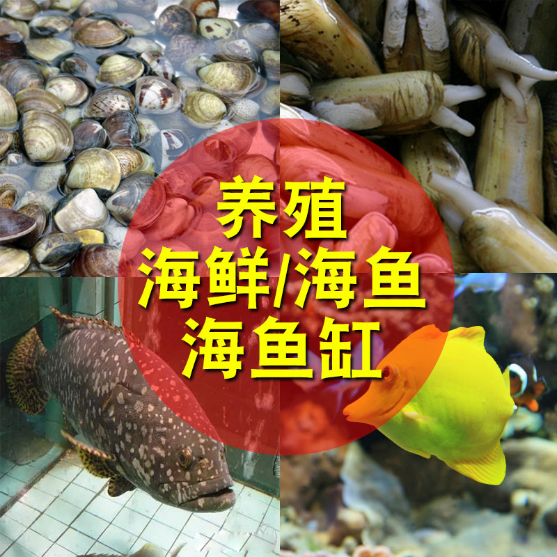 水族养鱼用品海水鱼盐海水素海鲜养殖专用海盐石斑鱼大龙虾海贝用