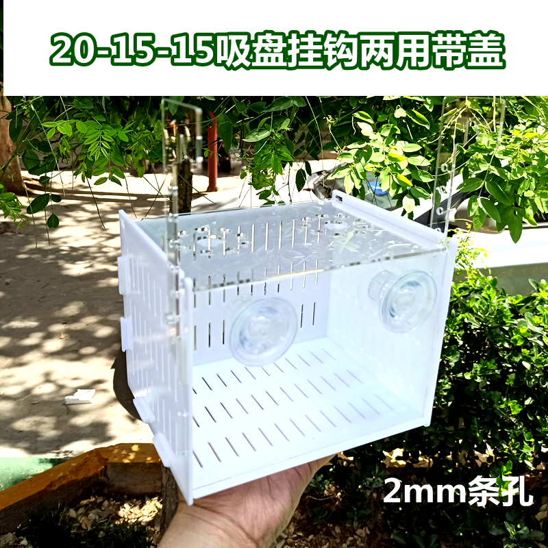 白色黑色双格亚克力乌龟隔离盒 狗头鱼隔离箱 龟苗孵化盒