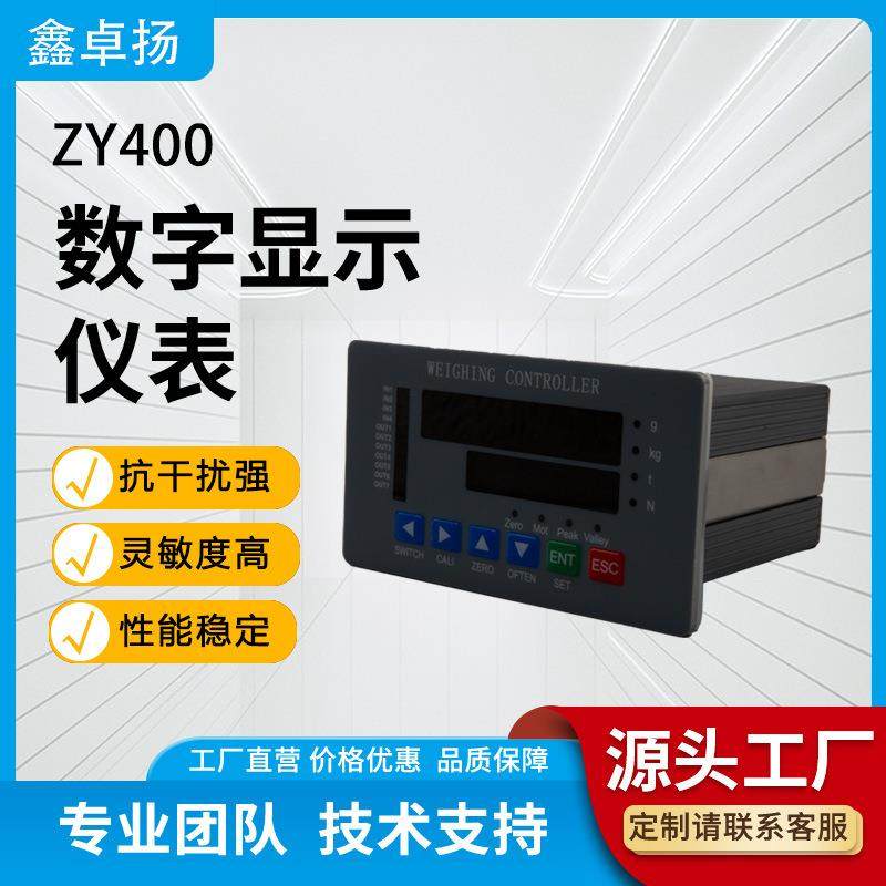 通用型智能工控系统测力仪表压力测试仪称重力值数字显示仪