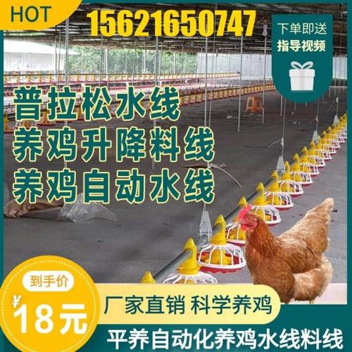 鸡料线水线养鸡场用自动喂料机全套加料上料机鸡舍养殖设备投料机